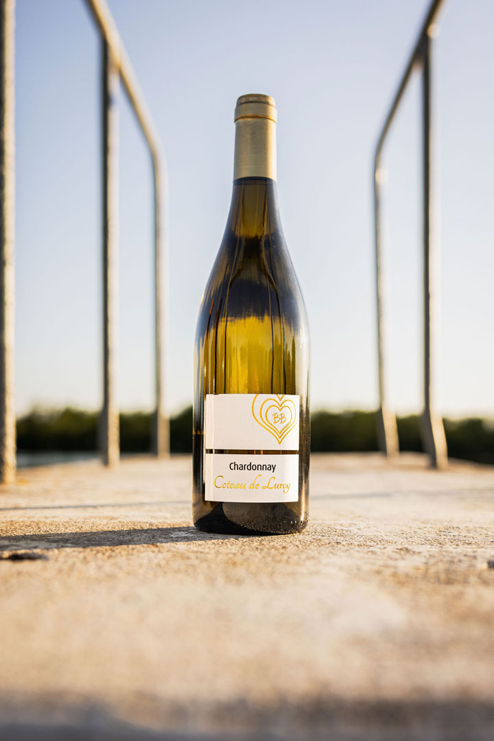 Découvrez la fraîcheur des blancs du Val-de-Saone