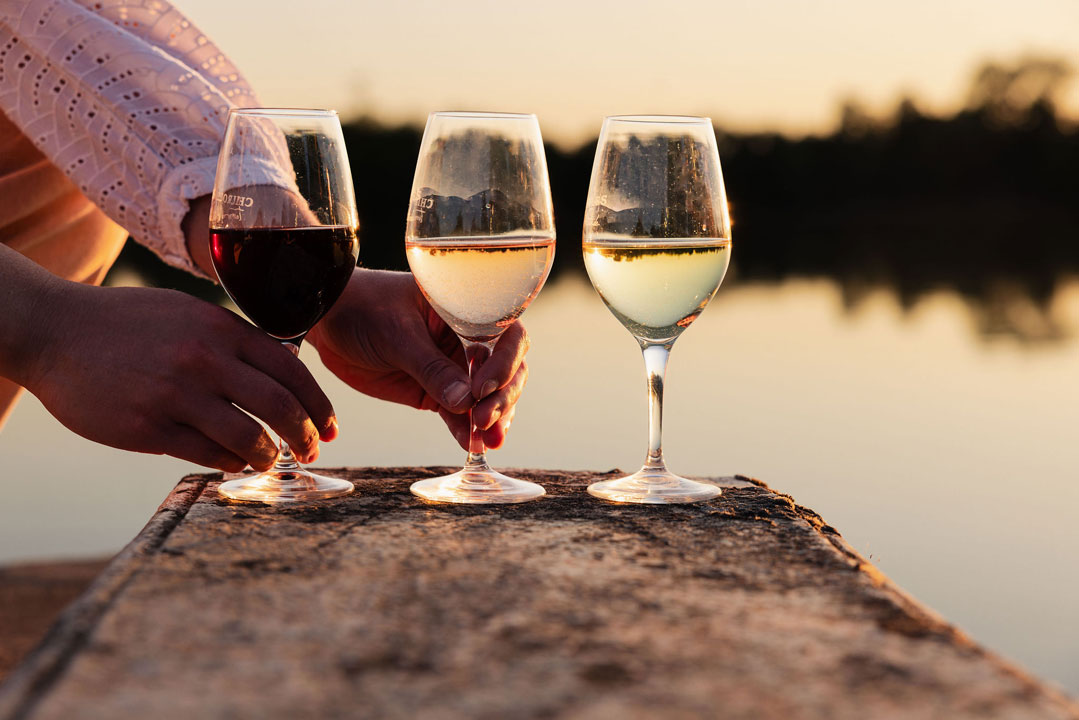 Beaujolais blancs et vins du Val de Saône : des pépites à découvrir